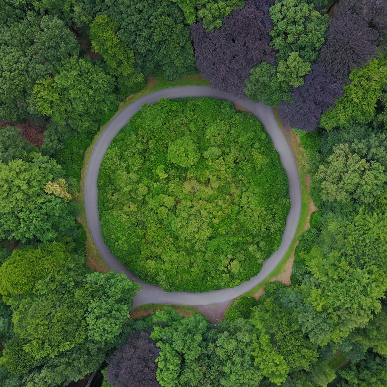 Luftfoto av en rund vei omgitt av tett skog med grønne og lilla trær.