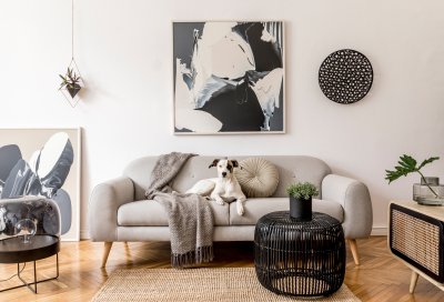 Stue med grå sofa, kunst på veggen, og en hund som ligger på sofaen.