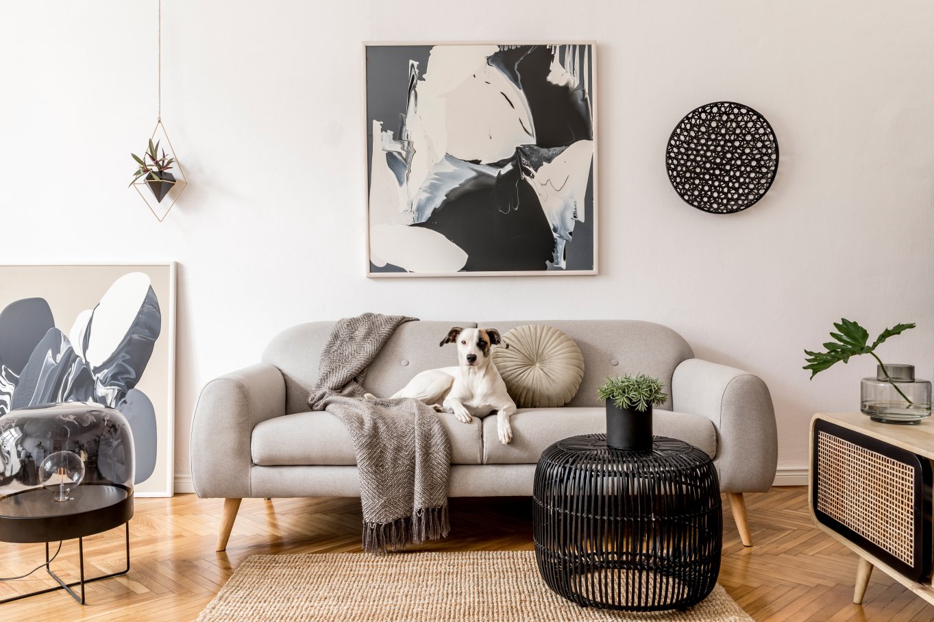 Stue med grå sofa, kunst på veggen, og en hund som ligger på sofaen.