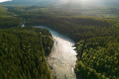 Bilde av en skog med en elv 