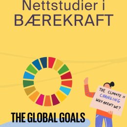 Plakat for nettstudier i bærekraft med FN's bærekraftsmål og demonstrant.