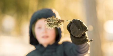 Bilde av et barn ute i skogen som holder en kvist som er i fokus