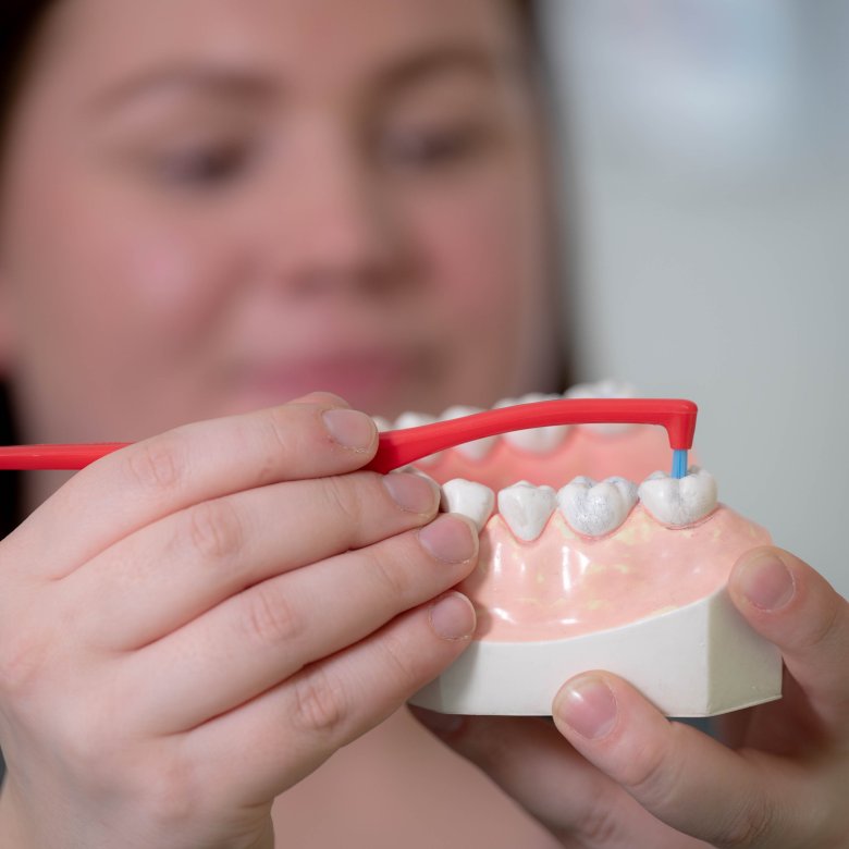 Person demonstrerer tannrengjøring på en tannmodell med en interdentalbørste.